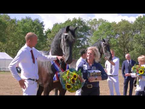 Fokdag &quot;Groningen-Drenthe Combinatie&quot;