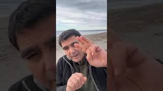 “y si no perdonó al mundo antiguo, sino que guardó a Noé, pregonero de justicia” )2 Pedro 2:5).