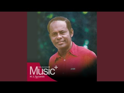 Samaru Pothe Pitu Gelavi