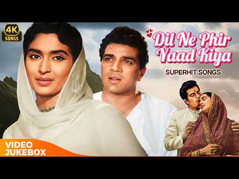 Dil Ne Phir Yaad Kiya ❤ | All Songs Jukebox | Classic 60s Hits | Nutan & Dharmendra | 4K Hindi Songs