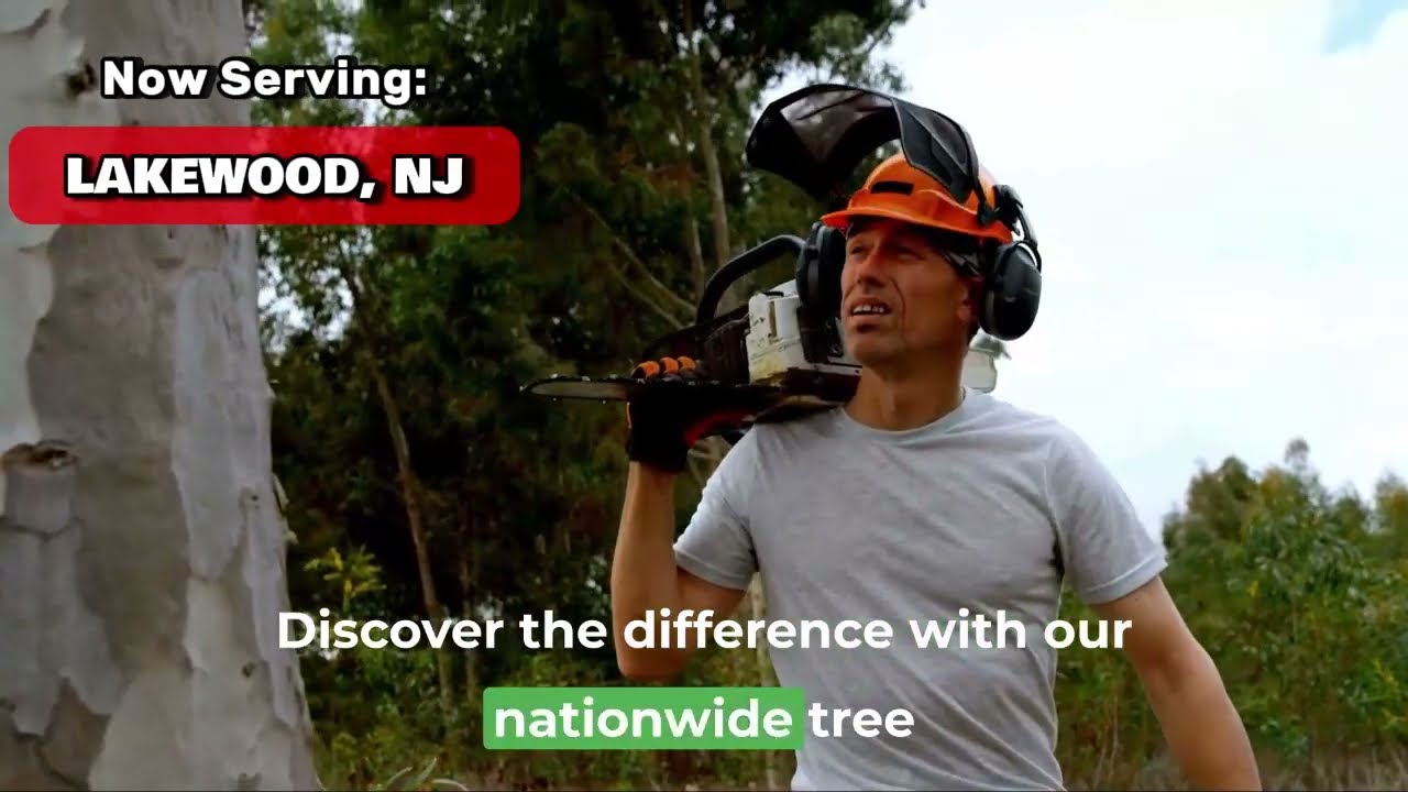 Tree Service Expert Lakewood, NJ