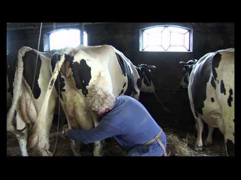 GPTV: Wiko's stoppen na 35 jaar