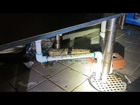 Buildup of Bacteria & Drain Flies Throughout...