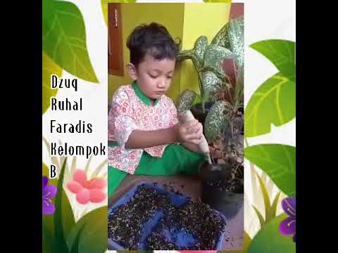 Cover Judul Musik Tidak Ditemukan