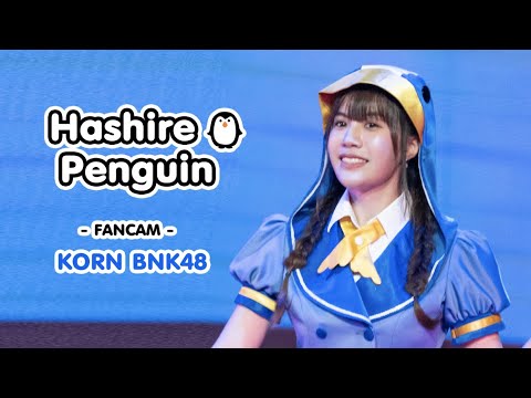 200726 Hashire Penguin วิ่งไปสิ...เพนกวิน : BNK48 WONDERLAND (fancam Korn BNK48)