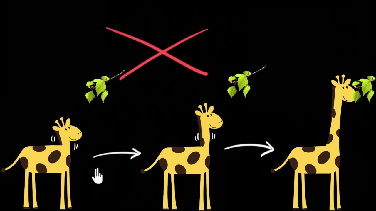 Acquired vs inherited traits | Heredity & Evolution | Biology | Khan Academy