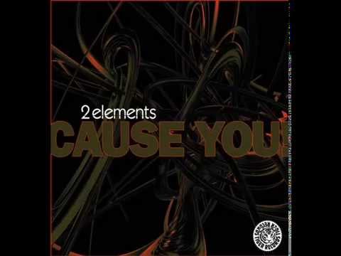 2Elements - Cause You! (2Elements Mix) [Tiger Records]