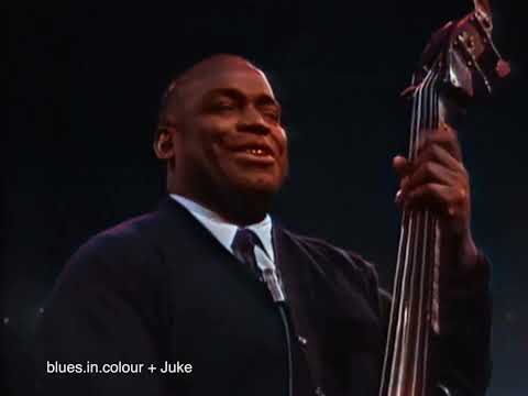Willie Dixon - Crazy For My Baby (edited) live [Colourised] 1966