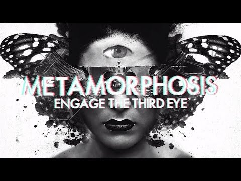 InsideInfo - Metamorphosis (feat. Miss Trouble) (Lyric Video)