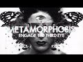 InsideInfo Metamorphosis Feat Miss Trouble Lyric Video