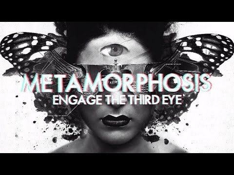 Video thumbnail for Metamorphosis