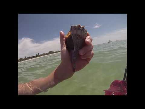 Snorkeling on Sanibel