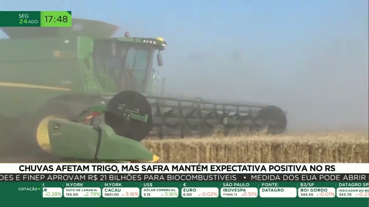 Chuvas afetam trigo, mas safra mantém expectativa positiva no RS