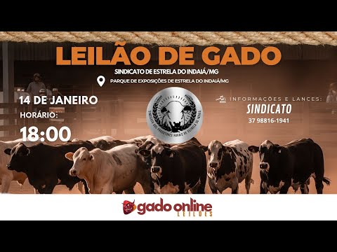 ⭐ 72º LEILÃO MISTO  SINDICATO DOS PRODUTORES RURAIS DE ESTRELA DO INDAIÁ/MG