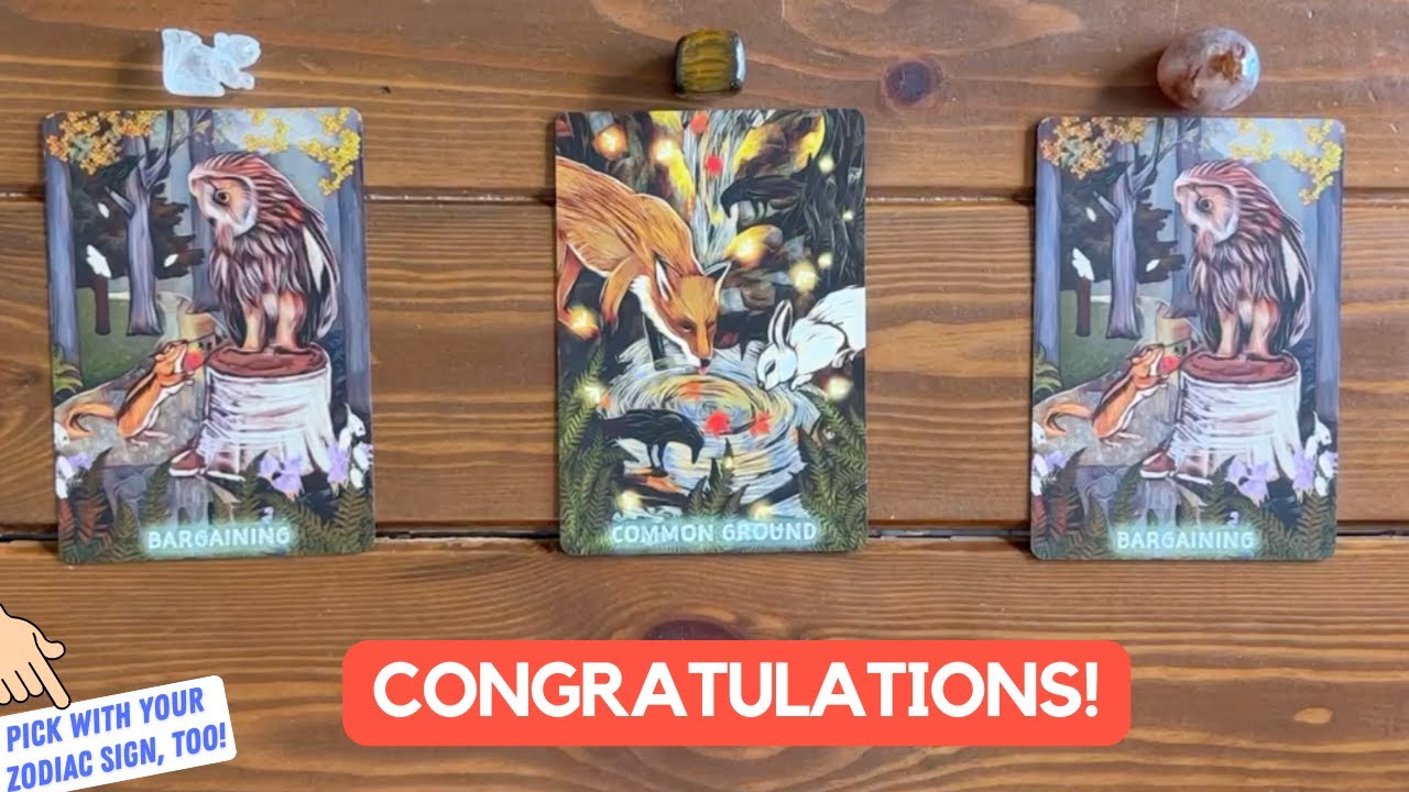 You've Just Changed Your Destiny! | Timeless Reading