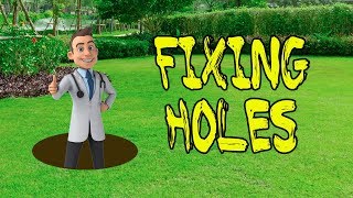 Fixing Holes Lawn - Bare Spots in Lawn