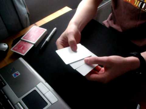 Face Off by Craig Petty