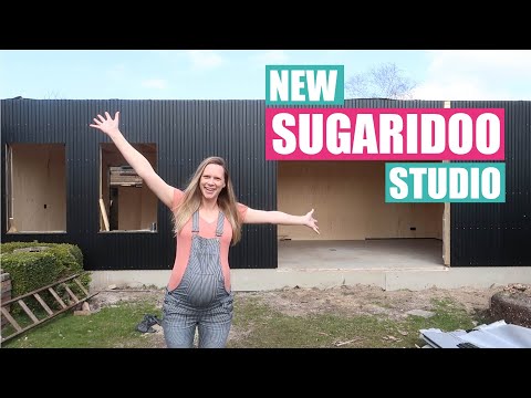 Q&A in the new Sugaridoo Studio