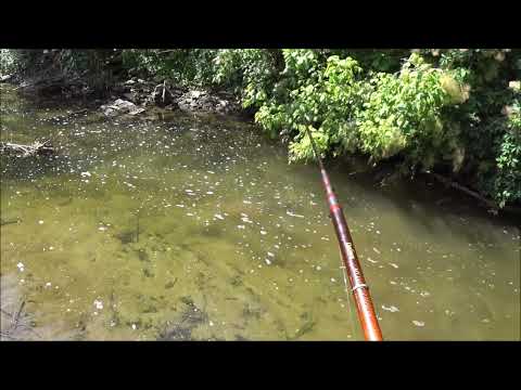 Cosa rimane dopo un contenimento siluri?