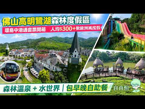 [佛山高明鷺湖森林度假區] 環島中港通套票開箱｜人均$300+歎歐洲風度假｜森林溫泉+水世界｜包早晚自助餐｜美的鷺湖