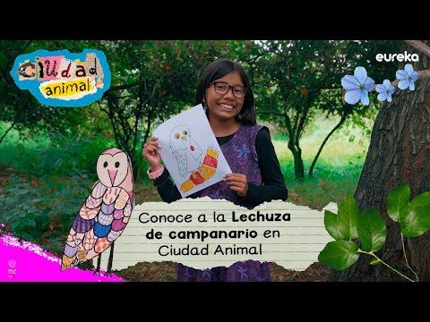 La lechuza de campanario bajo la mirada de Agua