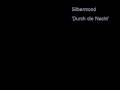 Silbermond Durch Die Nacht