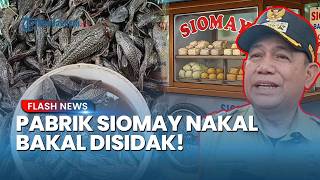 Pabrik Siomay di Matraman Bakal Disidak! Diduga Pakai Ikan Sapu-sapu Mengandung Merkuri & Timbal