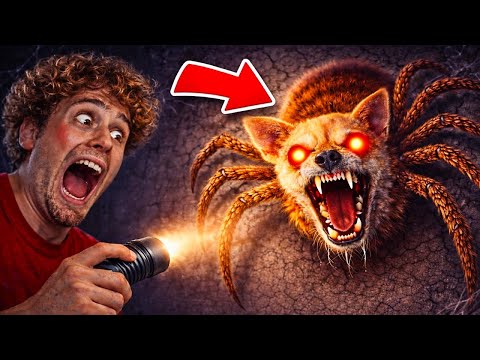 THIS SPIDER DOG ATTACKED US…😱