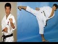 Shotokan Kihon Combinations Ohta Sensei