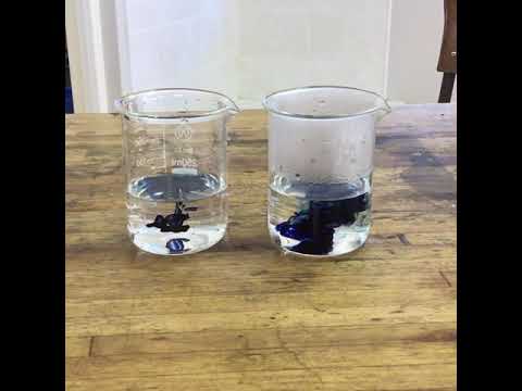 Food colouring movement in cold and hot water