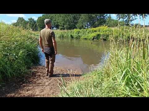 Olaf, 5 Monate (Deutsch Drahthaar), und die Wasserarbeit 1