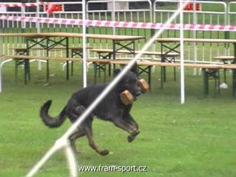 Miroslav Vala & Fugas z Elisu - Obranářský závod SKP Ostrava -  9. místo (13.-15.9.2013)