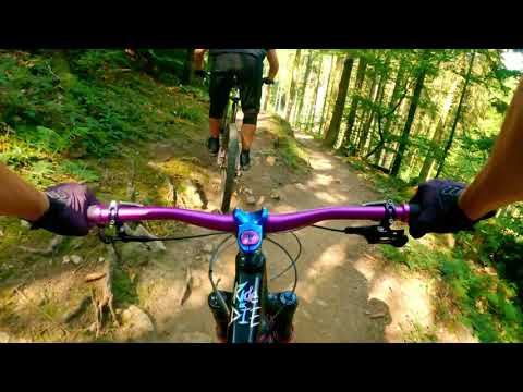 Das erste Mal Stromberg Wildhog & No Jokes full run | Flowtrail-Stromberg 4K60FPS