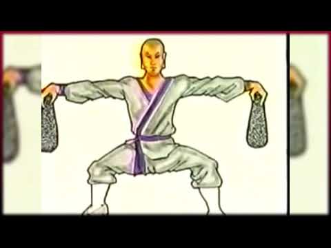 ORIGENS HOJO UNDO CHINA Training Methods