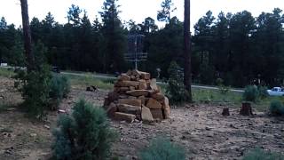 preview picture of video 'AZ State Disc Golf Championships - Show Low Course'