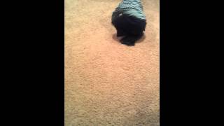 (untitled)