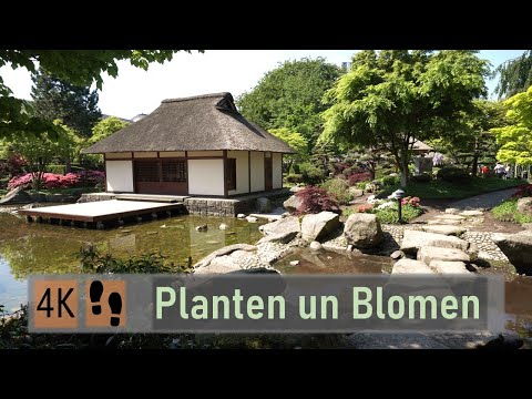 【4K】Sunny Walk in Planten un Blomen | Hamburg 🇩🇪