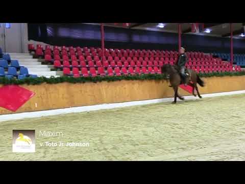 Maxim Generalprobe Hengstschau Vechta