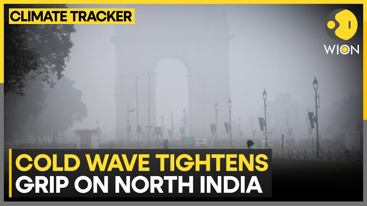 India: Delhi Shivers as Temperature Dip Further | WION CLIMATE TRACKER