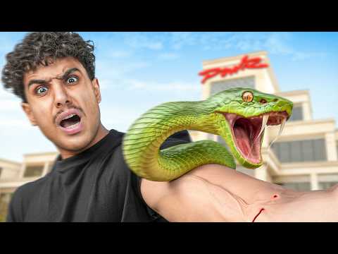 جربت انعض من اخطر الحيوانات !!