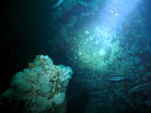 U-825 Malin Head juillet 2011.wmv