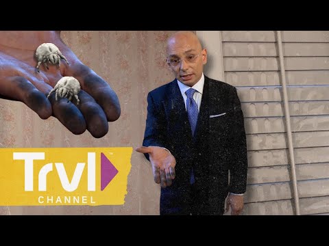 "Can It Get More FILTHY Than This!?" | Hotel Impossible | Travel Channel
