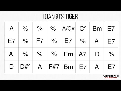 Django's Tiger - Playback jazz manouche - Gypsy jazz backing track / play along