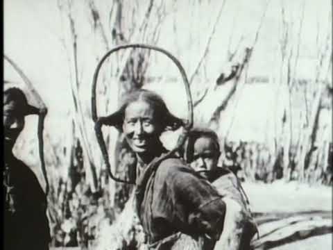 NOVA: The Mystery of Mallory and Irvine (DVD Quality)