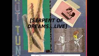 Serpent Of Dreams LIVE
