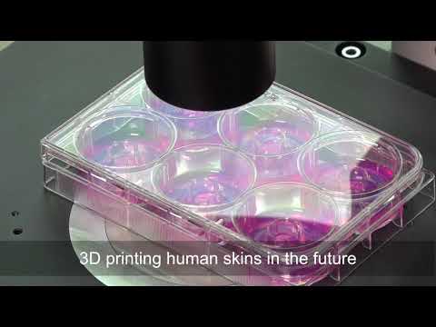 Human Skin Equivalent 3D Printing Technology