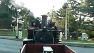 preview picture of video 'Puffing Billy - Brisk restart.'