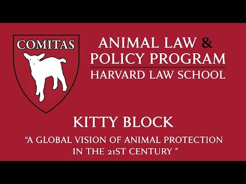 download lagu mp3 mp4 Animal Law, download lagu Animal Law gratis, unduh video klip Animal Law