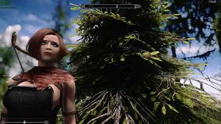 Skyrim SE Mods:West Wind Combat Series - Assault Armor UNP