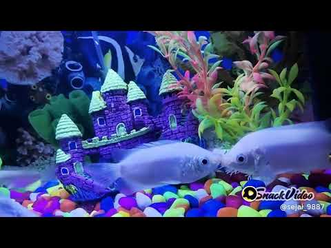 Logo Toggle navigation Hashtags for #youtubechannelhome hashtags youtubechannel BEST #YOUTUBECHANNEL